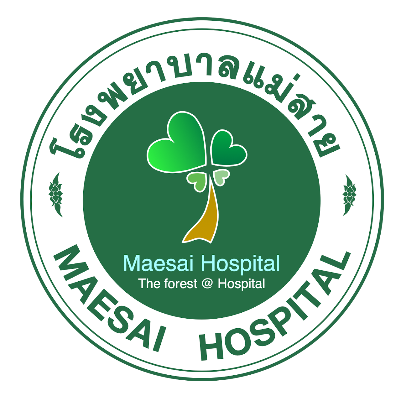 ตราสัญลักษณ์โรงพยาบาลแม่สาย